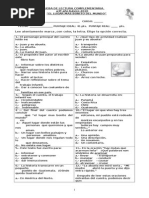 Prueba Lectura Complementaria El Lugar Mas Bonito Del Mundo