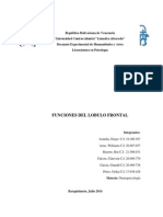 (Neuropsicología) Funciones de La Corteza Prefrontal