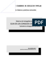 Guia Consjos Cmnales PDF