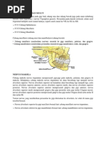 Download Karies Gigi by Muhammad Ramdani Irfan SN233146414 doc pdf