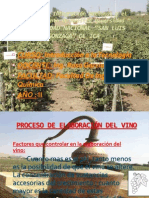 Proceso de Elaboracio Del Vino