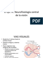 Neurofisiología Central de La Visión