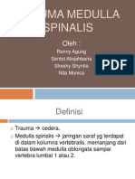 Trauma Medulla Spinalis