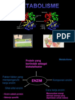 Metabolisme Power Point