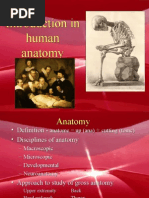 Download Introduction in Human Anatomy by Angela Bautista SN23315915 doc pdf