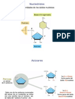 Biologia Celular - Clase 03