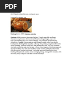 Download Alat Music Tradisional by fhelixz SN23316290 doc pdf