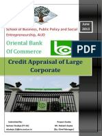 Oriental Bank of Commerce: Credit Appraisal of Large Corporate