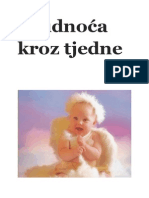 Trudnoca-kroz-tjedne