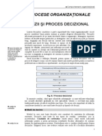 Curs - 08 - Decizii Si Proces Decizional