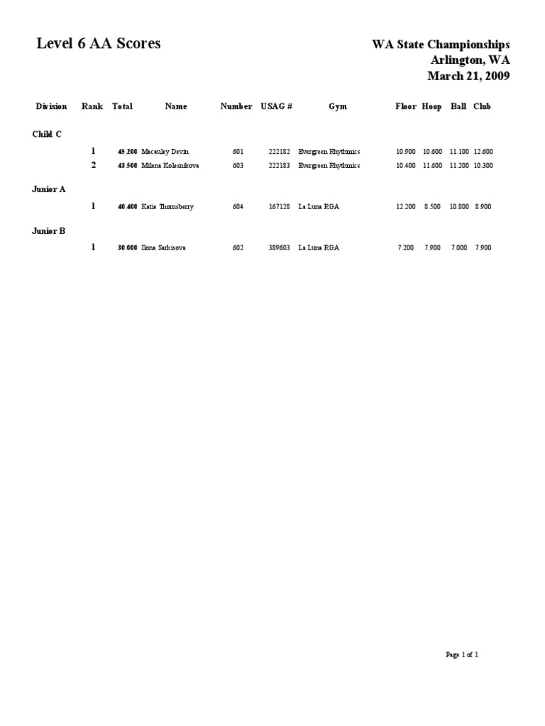 Level 6 AA Report | PDF