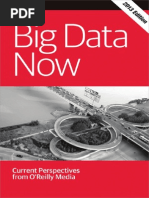 Download Big Data Now 2013 by Larry Cox SN233179562 doc pdf
