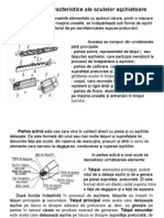 Sapt.2. Elementele Caracteristice Ale Sculelor Aschietoare