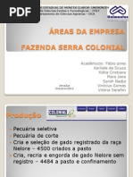 Áreas Da Empresa