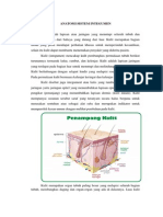 ANATOMI KULIT DAN SISTEM INTEGUMEN