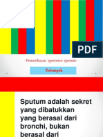 Pemeriksaan Spesimen Sputum