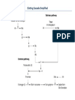 Clotting Cascade Simplified