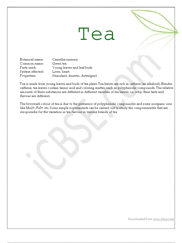 Acidity Study of Tea Leaves Samples | PDF | Caffeine | Tea