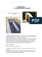 Download LA SPIRULINA by api-3710195 SN23324121 doc pdf