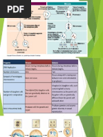 Meiosis Presentation