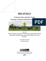 ICS UNIDO - Biofuels Technology, Status and Future Trends