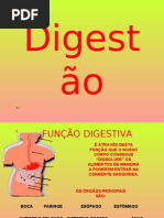 Função digestiva