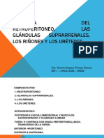 Anatomia Del Retroperitoneo, Las Glándulas Suprarrenales