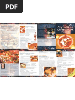 Download Vegan Christmas Recipes from VIVA by Vegan Future SN23329176 doc pdf