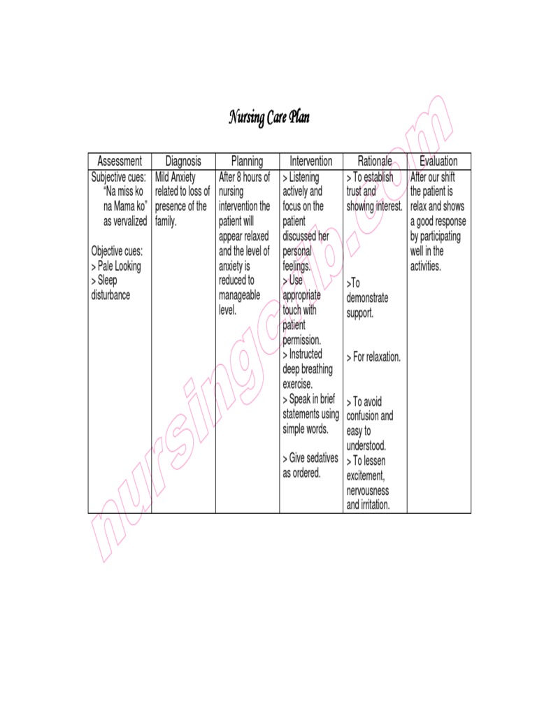 Nursing Care Plan Mild Anxiety | PDF