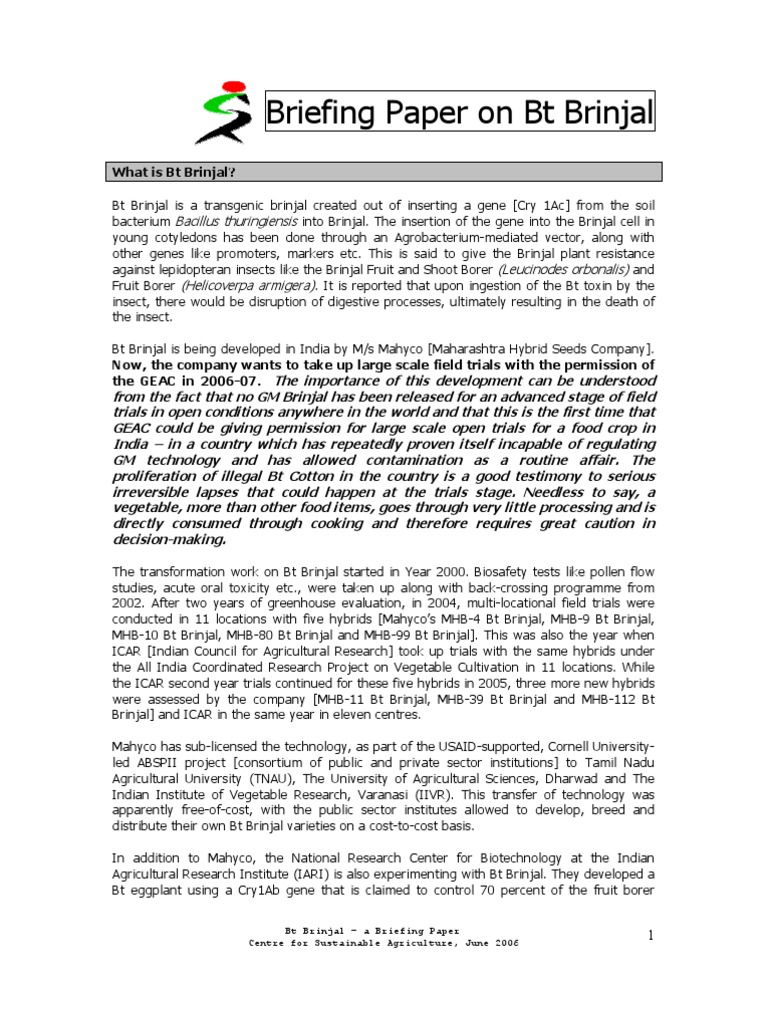 Overview of Bt Brinjal Development | PDF | Eggplant | Genetic Engineering