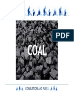 Coal