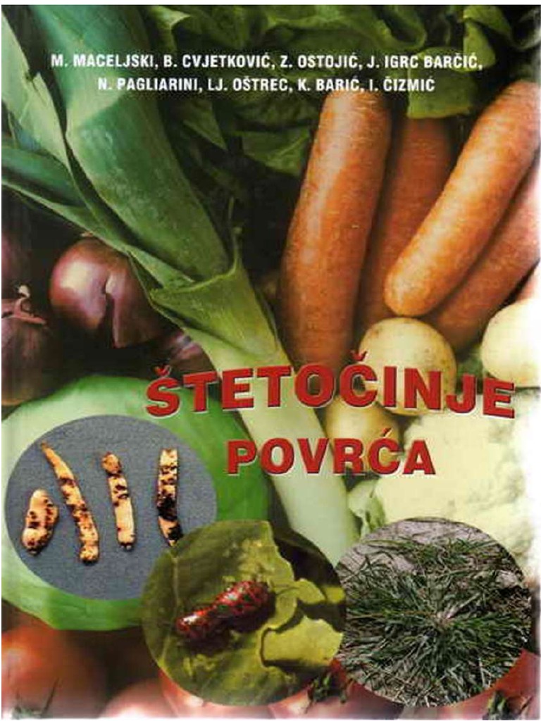 Stetocinje Povrca | PDF