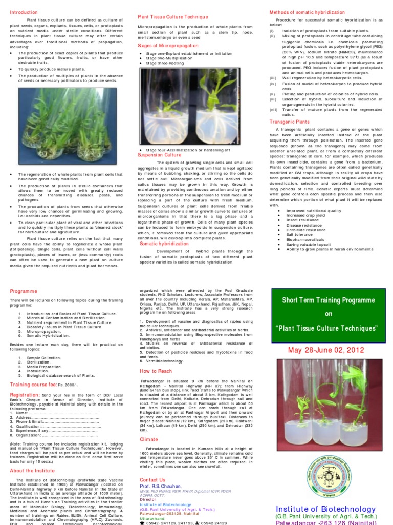 Plant Tissue Culture Training | PDF | Horticulture And Gardening | Plants