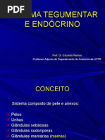ER Sistema Tegumentar e Endócrino