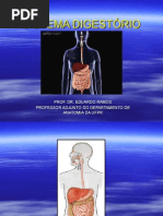 ER Sistema Digestório