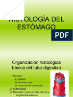 Histologia de Estomago