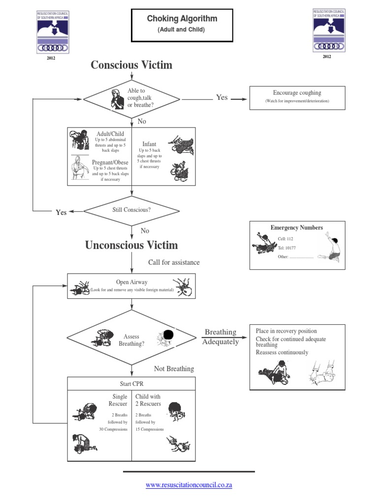 Choking Response Guidelines | PDF