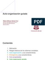 Autoorganización Guiada