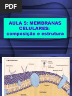 aula 5 Membrana e transporte
