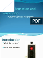 Topic04 - Sensation and Perception