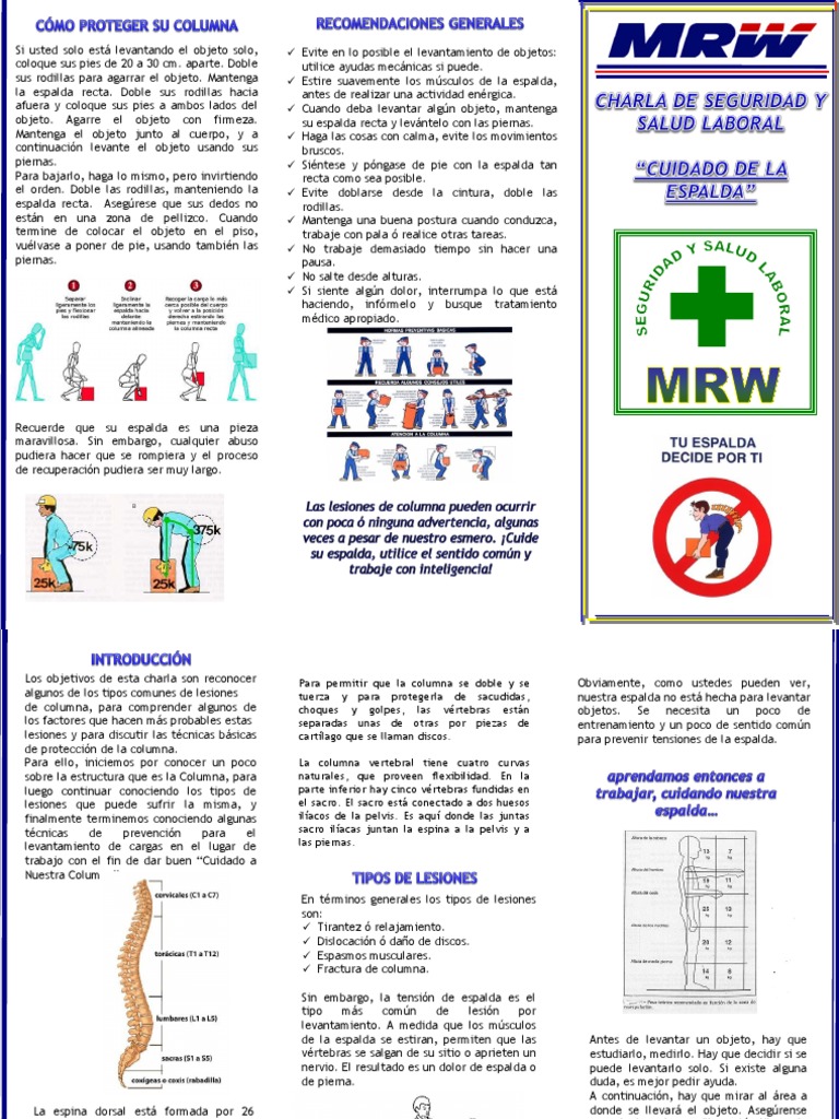 Cuidados para la Columna Vertebral | PDF | La columna vertebral | Vértebra