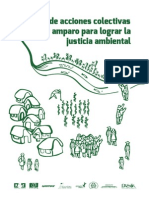 Manual de Acciones Colectivas y Amparo para Lograr La Justicia Ambiental