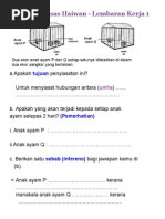 Keperluan Asas Haiwan