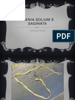 Taenia Solium e Saginata