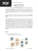 Ficha Informativa Nc2ba 3