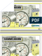 Apresentação Hammelmann
