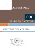 ORBITA