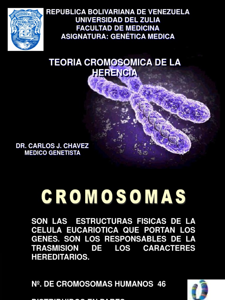Teoria cromosomica_teorias