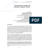 Caso Termoeléctrica Castilla C Boettiger y F Leiva ACT JCA N 23 2011