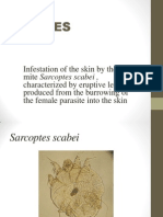 Scabies Presentation